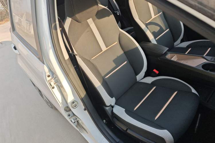 Used SOL E10X 2022 Flower Fairy Design Dandelion