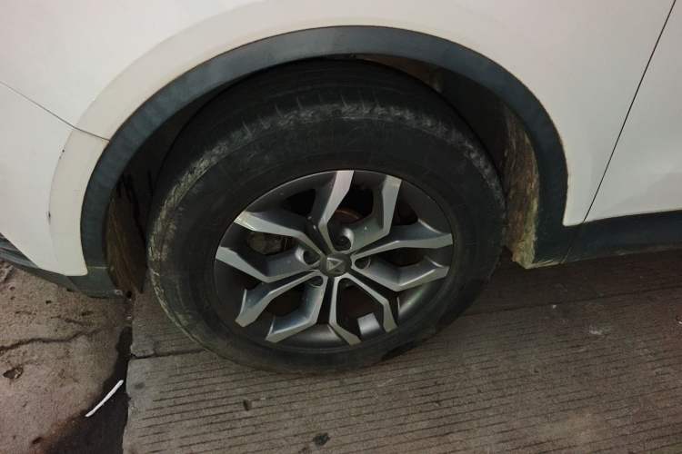 Used BORGWARD BX5 2020 20TGDI Automatic Two-Wheel Drive New Edition
