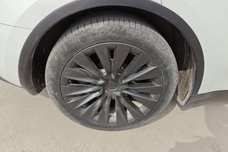 Used Tesla Model Y 2022 Rear-Wheel-Drive Version
