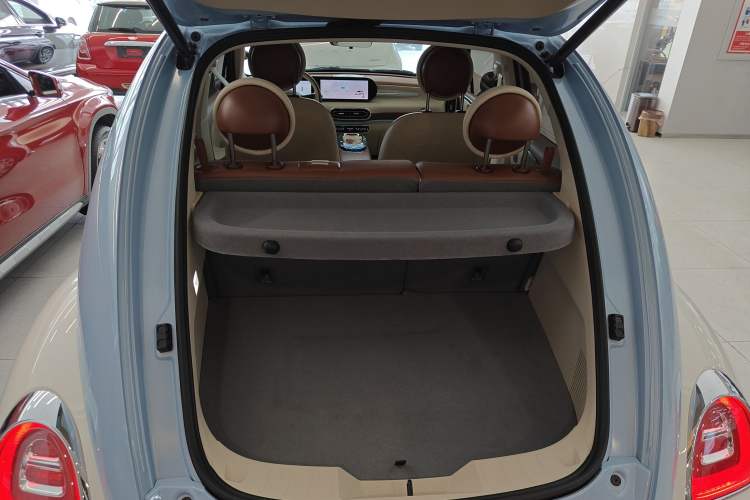 Used ORA Ballet Cat 2023 401 km Luxury Version
