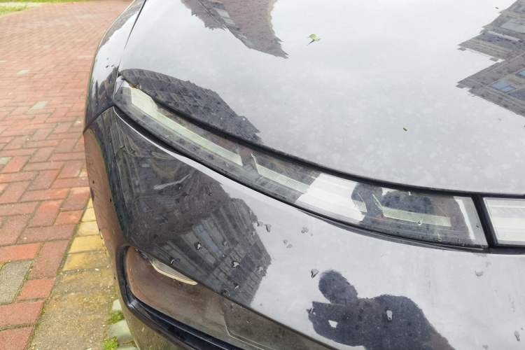 Used XPeng P7 2020 670N
