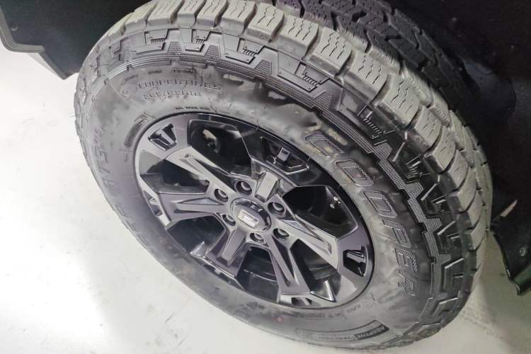 Used Tank 400 New Energy 2024 Hi4-T City Edition