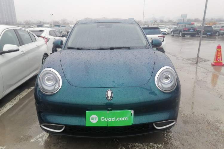 Used ORA Good Cat 2023 401 km Standard Range Luxury Version Lithium Iron Phosphate
