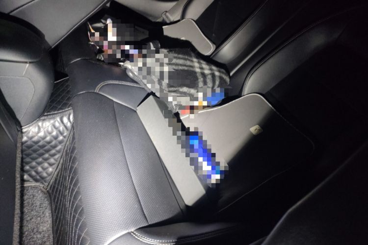 Used Ford Mustang 2015 2.3T Performance Edition
