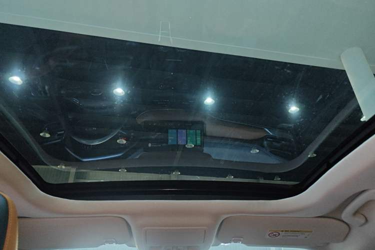 Used Ford Escape 2020 EcoBoost 245 Two-Wheel-Drive Titanium Edition Headliner