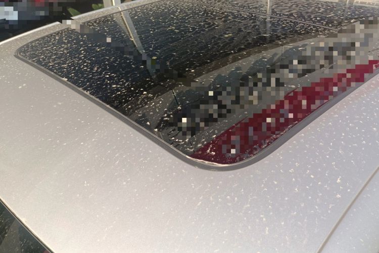 Used Audi A6L 2017 TFSI Comfort Model
