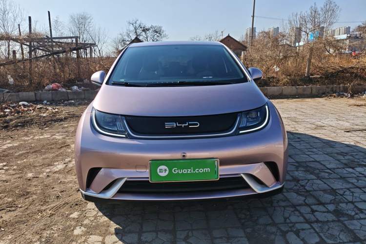 Used BYD Dolphin 2024 Honor Edition 420km Freedom Version