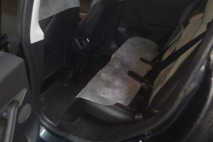 Used Tesla Model Y 2024 Rear-Wheel-Drive Version Left Rear Seat