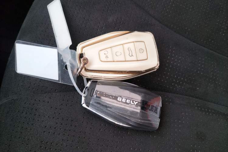 Used Geely Auto Monjaro L 2024 2.0TD High-Power Automatic Two-Wheel Drive Skyline Edition