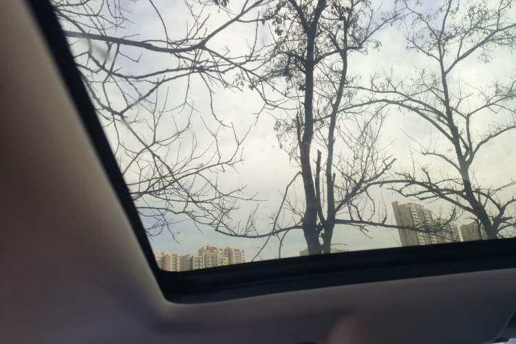 Used Haval DARGO 2021 1.5T DCT Two-Wheel Drive Labrador Edition
