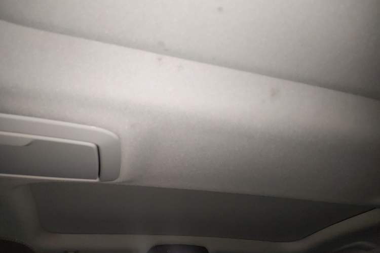 Used BMW 5 Series New Energy 2020 530Le Luxury Package