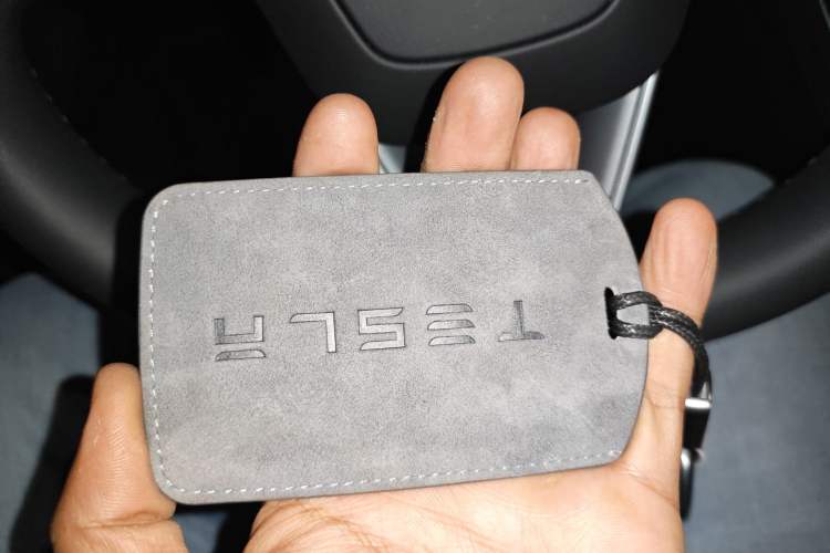 Used Tesla Model Y 2025 Long-Range All-Wheel Drive First Edition