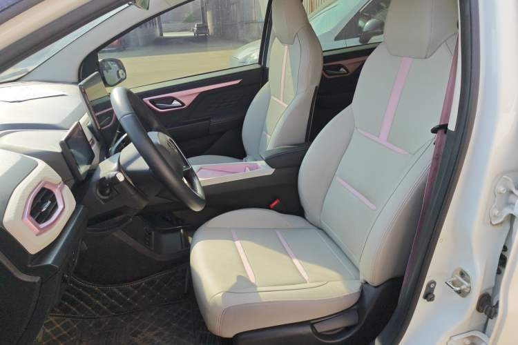 Used SOL E10X 2022 Flower Fairy Design Sunflower