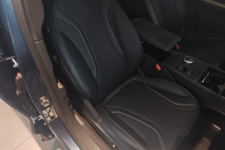 Used Ford Mustang Mach-E 2021 AION Y Plus Rear-Drive Luxury Edition (Long Range)
