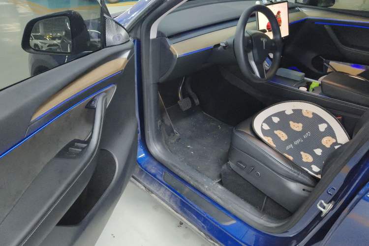 Used Tesla Model Y 2022 Rear-Wheel-Drive Version Driver Seat