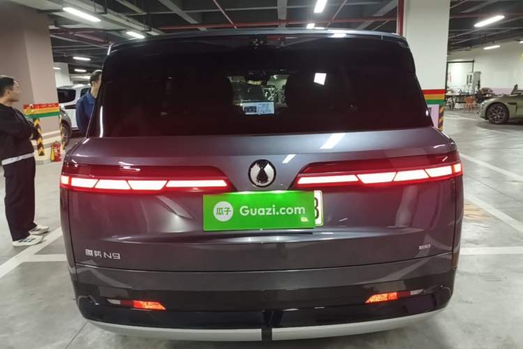 Used Denza N9 2025 Flagship Model Rear