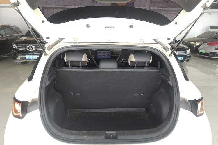 Used BYD Dolphin 2024 Honor Edition 420km Freedom Version
