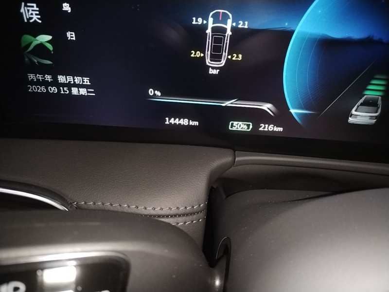 Used Hongqi E-HS9 2021 460 km Range Flagship Edition Six-Seater — 11
