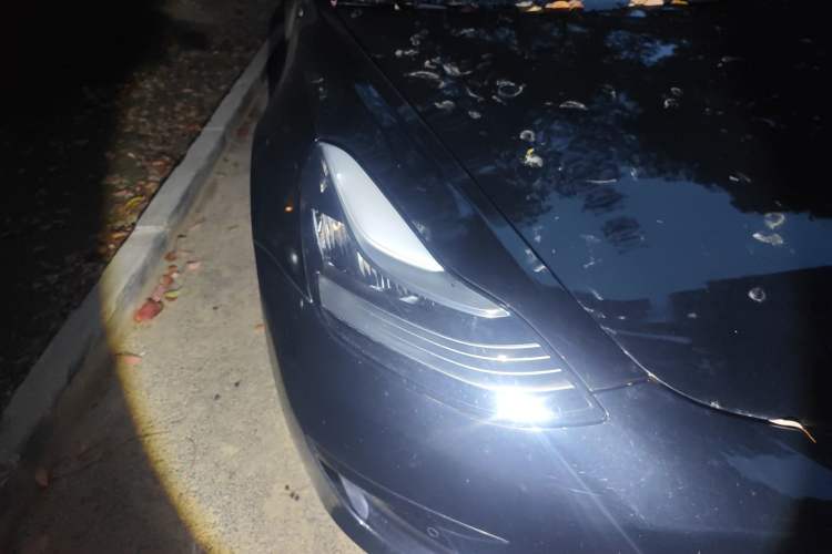 Used Tesla Model 3 2020 Revised Version Standard Range Rear-Wheel Drive – Upgraded Edition
