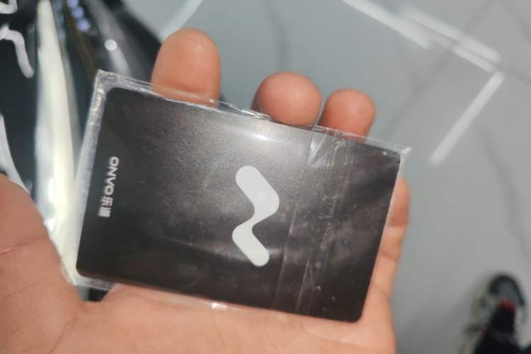 Used ONVO L60 2024 60 kWh Rear-Drive Version