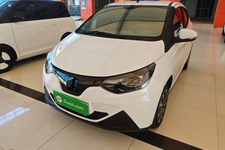 Used JMEV Xiao Qilin 2024 201km Comfort Version