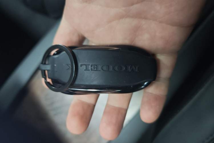 Used Tesla Model X 2017 X 100D Long Range Edition
