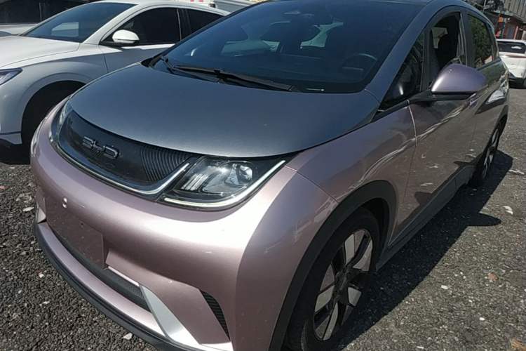 Used BYD Dolphin 2021 401km Knight Edition