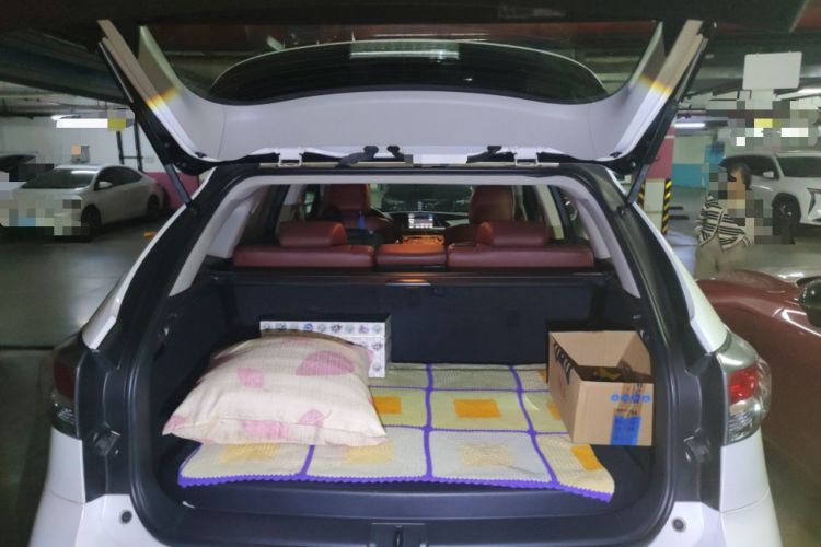 Used Lexus RX Classic 2013 270 Elite Edition Trunk