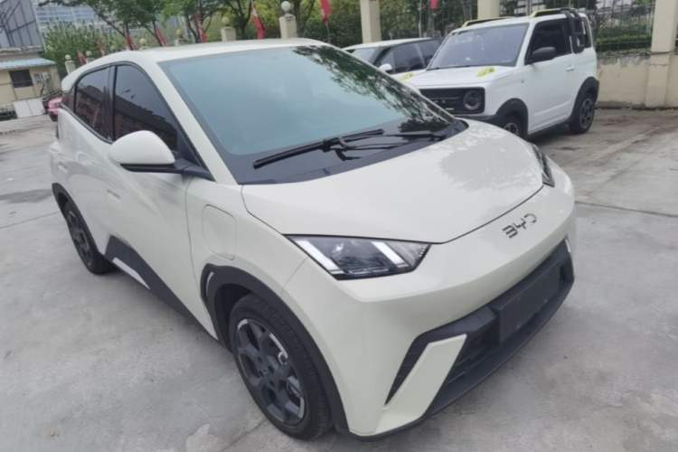 Used BYD Seagull 2024 Honor Edition 305km Freedom Version Exterior 1