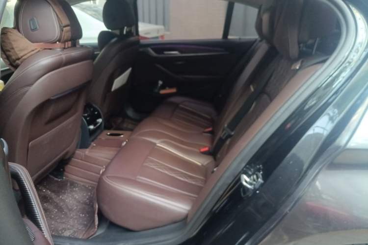 Used BMW 5 Series New Energy 2019 530Le Luxury Package