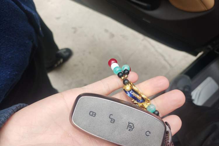 Used Denza D9 2024 DM-i 980 Four-Wheel Drive Prestige Model Vehicle Key