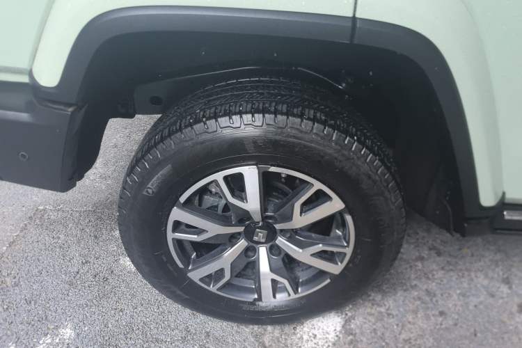 Used Tank 300 2024 2.0T Crosser
