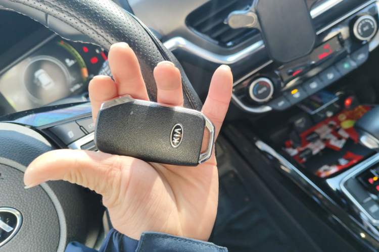 Used Kia Sportage R 2019 2.0L Automatic Smart Luxury Edition