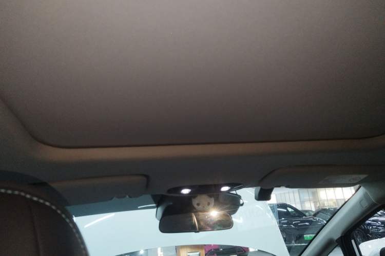 Used AION Y 2024 Plus 610 Intelligent Driving Version
