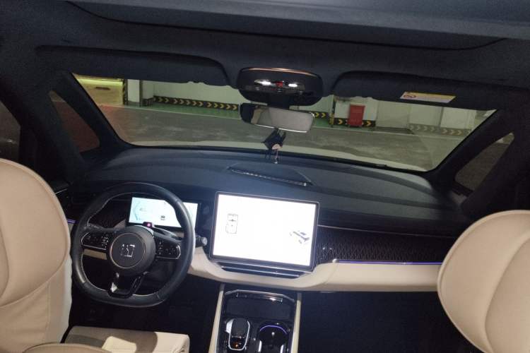 Used Zeekr 009 2022 Revised WE Version Headliner