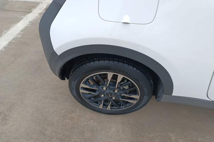 Used Chery Little Ant 2022 Sweet Pink Edition Half-Sugar Version Lithium Iron Phosphate 30 kW 301 km