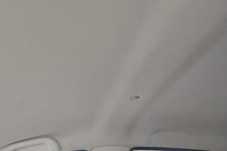 Used SOL E10X 2021 302 km Range Luxury Version 31.4 kWh Headliner