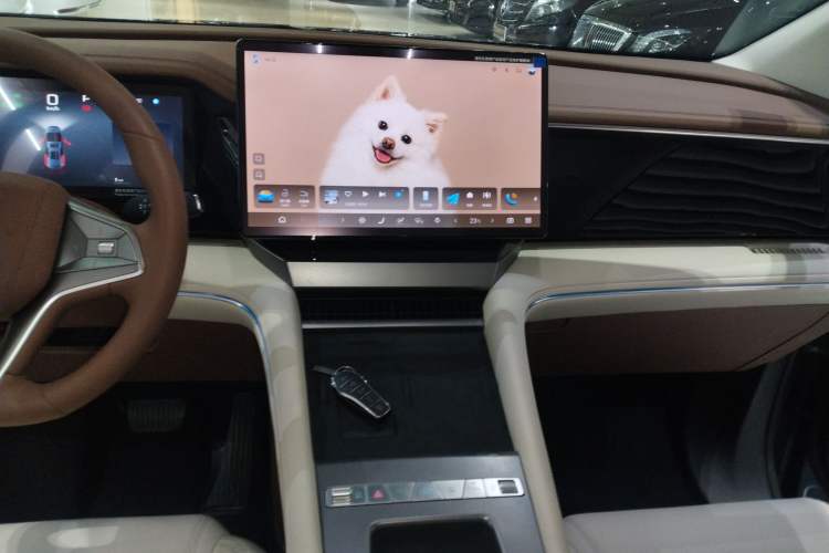 Used BYD Xia 2025 DM-i 1.5T 180km Beyond Edition