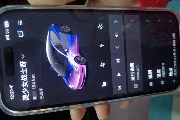 Used Tesla Model 3 2022 Rear-Wheel-Drive Version
