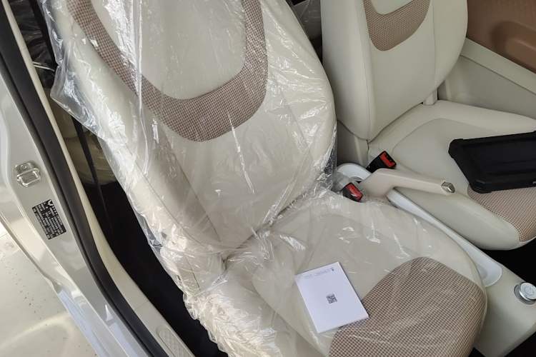 Used Wuling Hongguang MINIEV 2024 3rd Generation 215km Youth Edition Right Front Seat