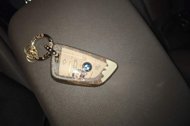 Used BMW X3 2018 xDrive25i Luxury Package China V Vehicle Key