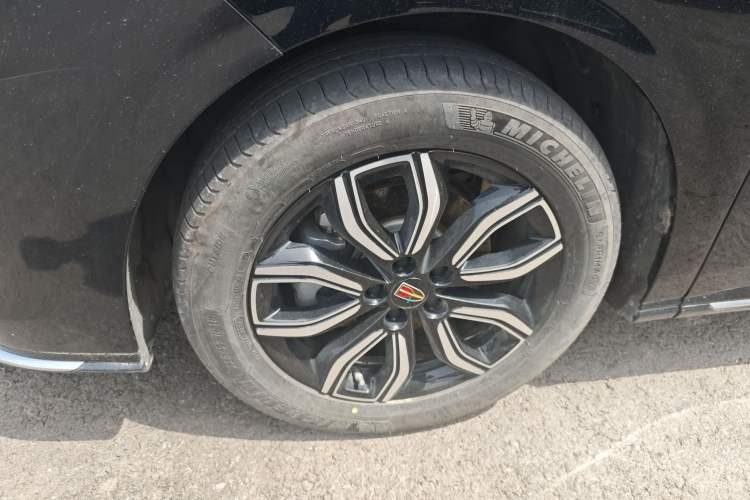 Used Hongqi HQ9 2023 2.0T Smart Connect Flagship Edition