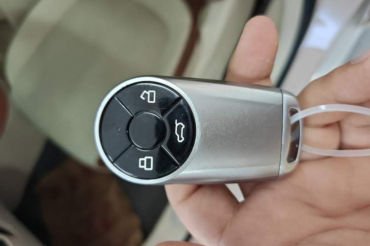 Used ORA Ballet Cat 2022 401 km Nutcracker Edition