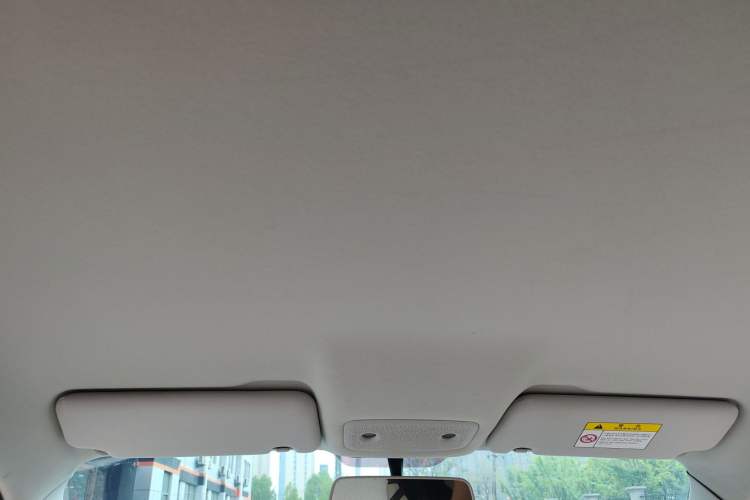 Used Leapmotor T03 2023 310 Lite Edition Headliner