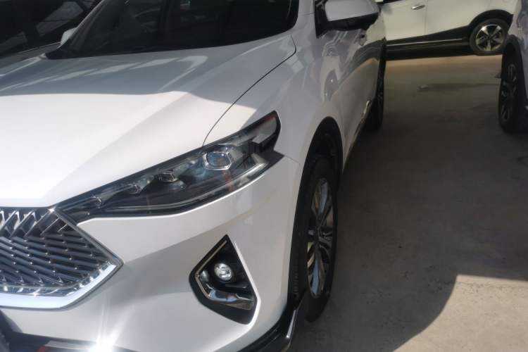 Used Haval F7 2021 2.0T Two-Wheel Drive i-Active