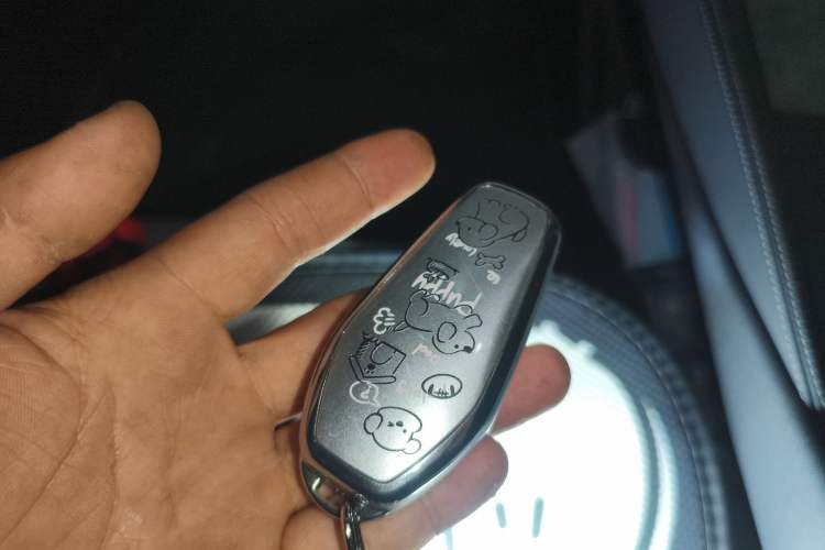 Used BYD Seal 06 New Energy 2024 DM-i 120KM Prestige Model Vehicle Key