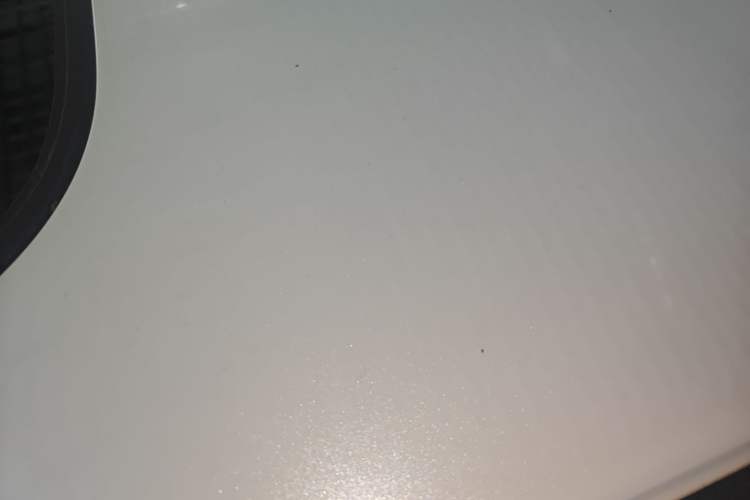 Used Honda Civic 2021 HATCHBACK 220TURBO CVT Dynamic Control Roof