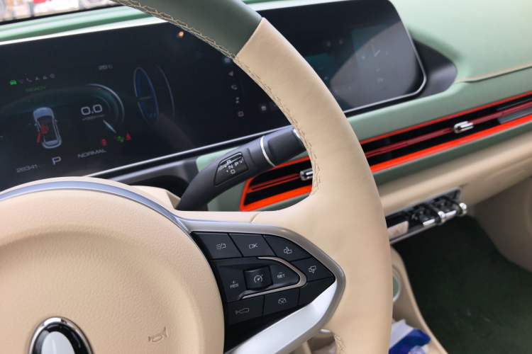 Used ORA Good Cat 2024 401 km Range Luxury Version 135 kW Gear Lever