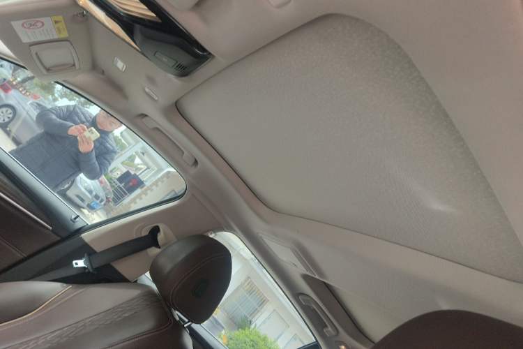 Used BMW 5 Series New Energy 2019 530Le Luxury Package Headliner