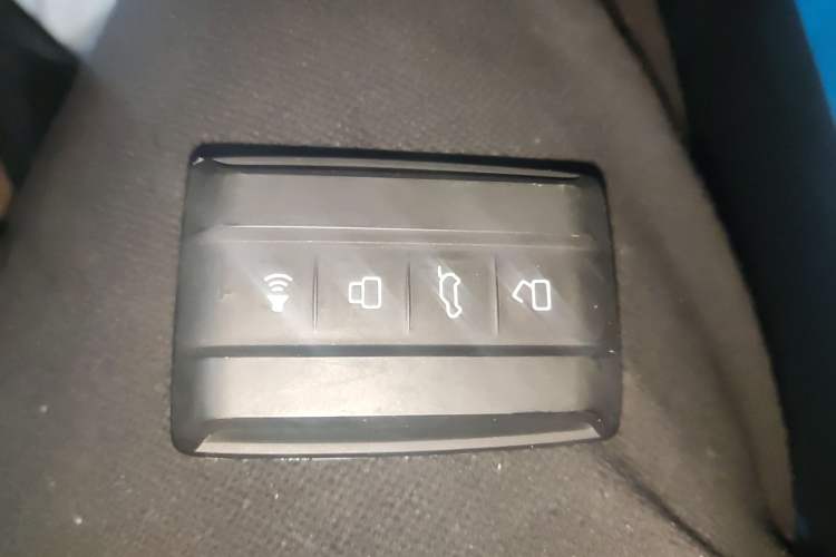 Used Cyberspace Tank 300 2023 2.0T Cyber Knight
